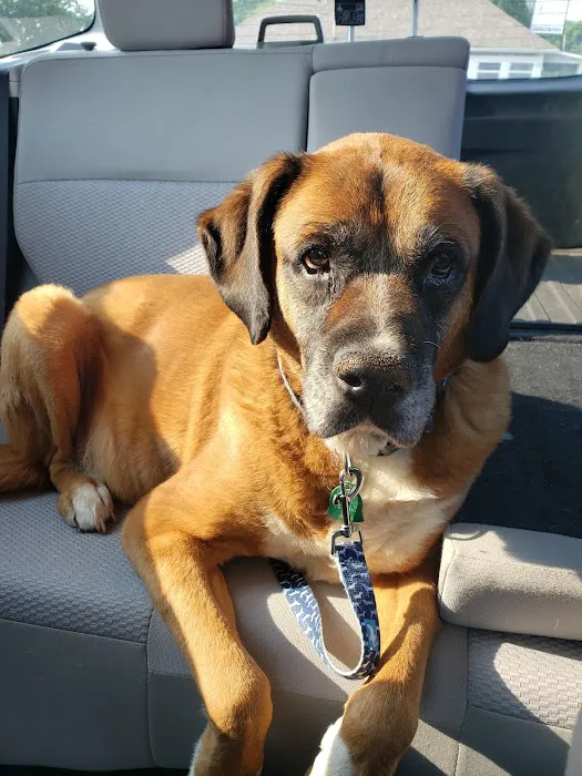 Spring Hill Veterinary Clinic Picture 5