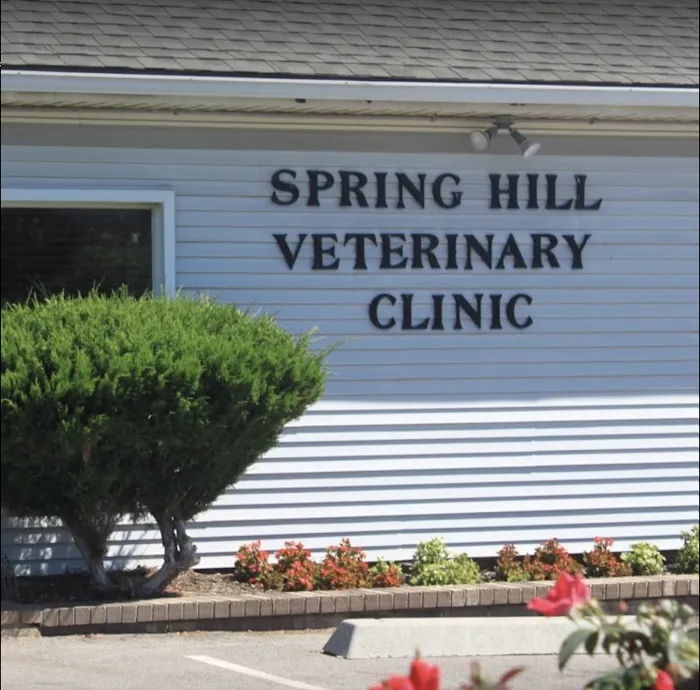 Spring Hill Veterinary Clinic Picture 10