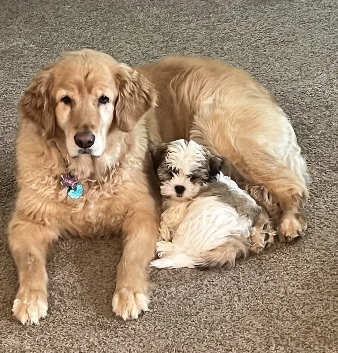 Quivira Crossing Veterinary Clinic Picture 2