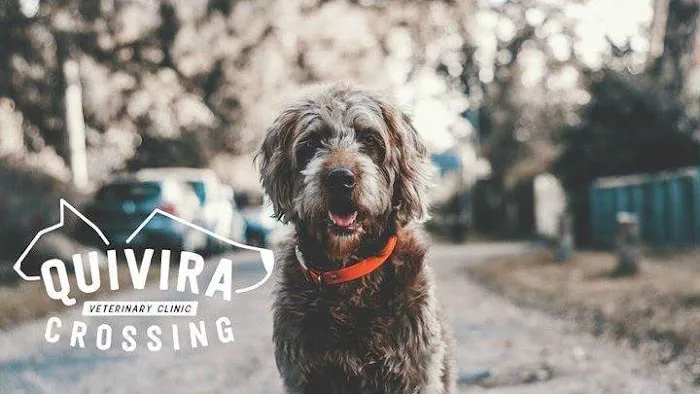 Quivira Crossing Veterinary Clinic Picture 1