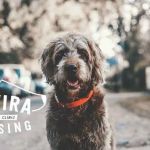 Quivira Crossing Veterinary Clinic