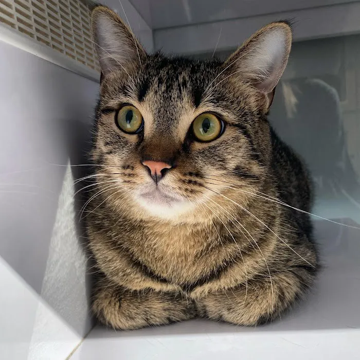 Quivira Crossing Veterinary Clinic Picture 4