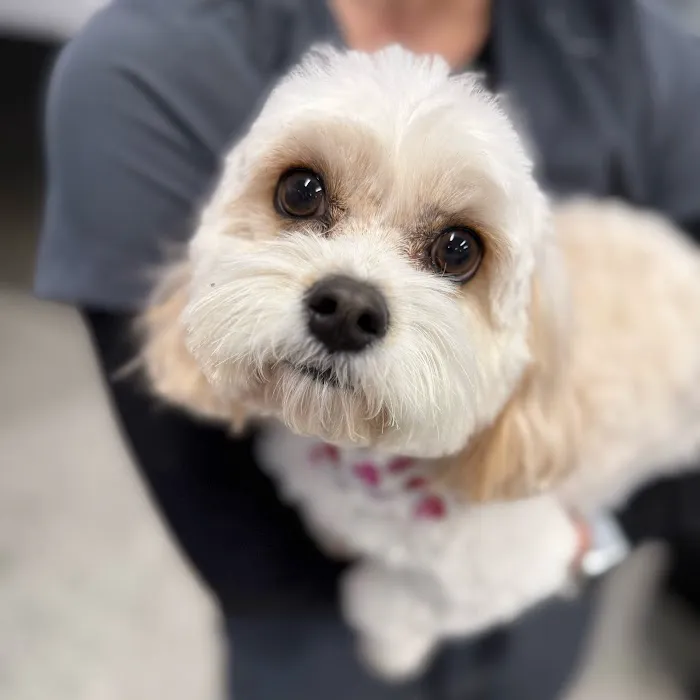 Quivira Crossing Veterinary Clinic Picture 3