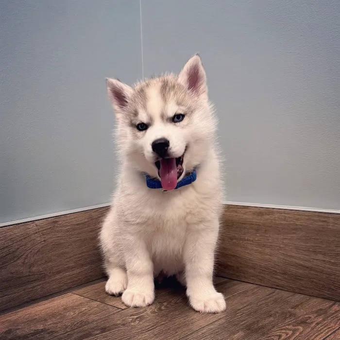 Quivira Crossing Veterinary Clinic Picture 5