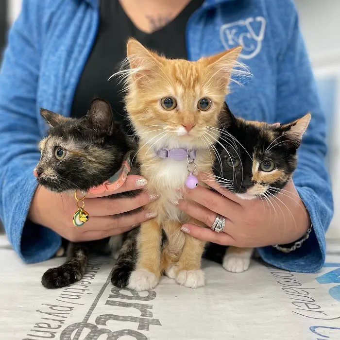 Quivira Crossing Veterinary Clinic Picture 9