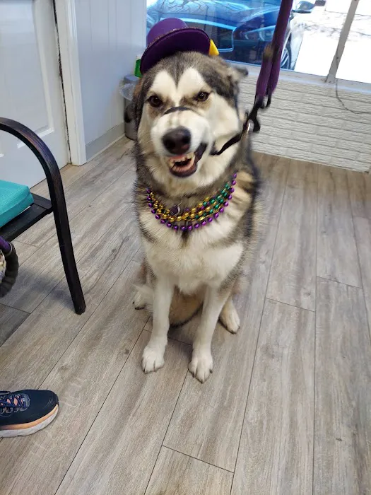 Martin City Animal Hospital Picture 1