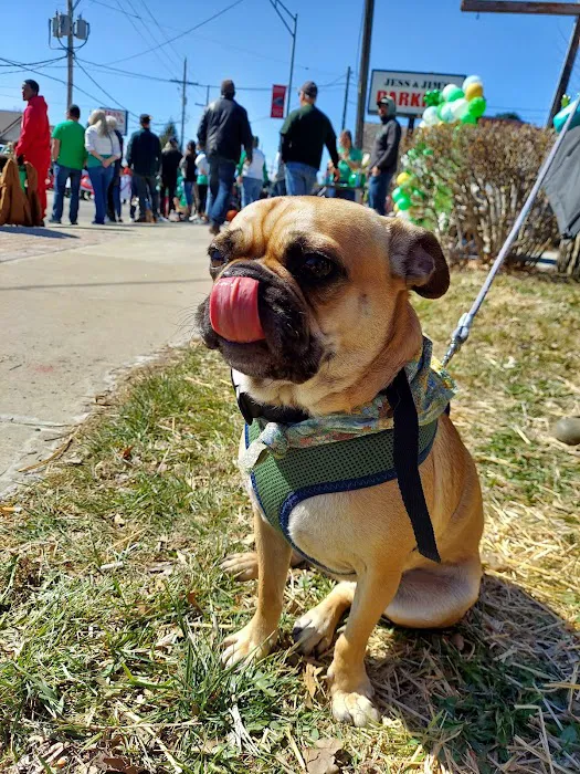 Martin City Animal Hospital Picture 2