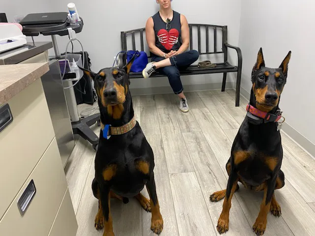 Martin City Animal Hospital Picture 7