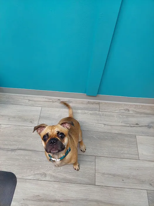 Martin City Animal Hospital Picture 6