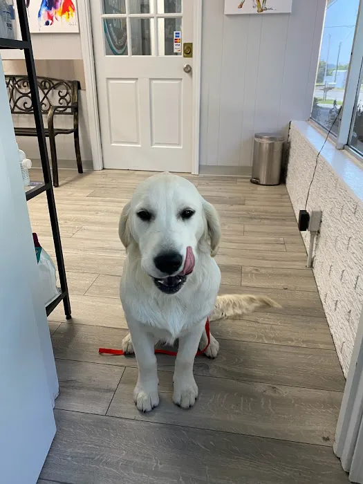 Martin City Animal Hospital Picture 10