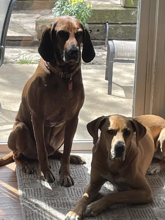 Leawood Plaza Animal Hospital NOW MERGED WITH JOHNSON COUNTY ANIMAL CLINIC Picture 1