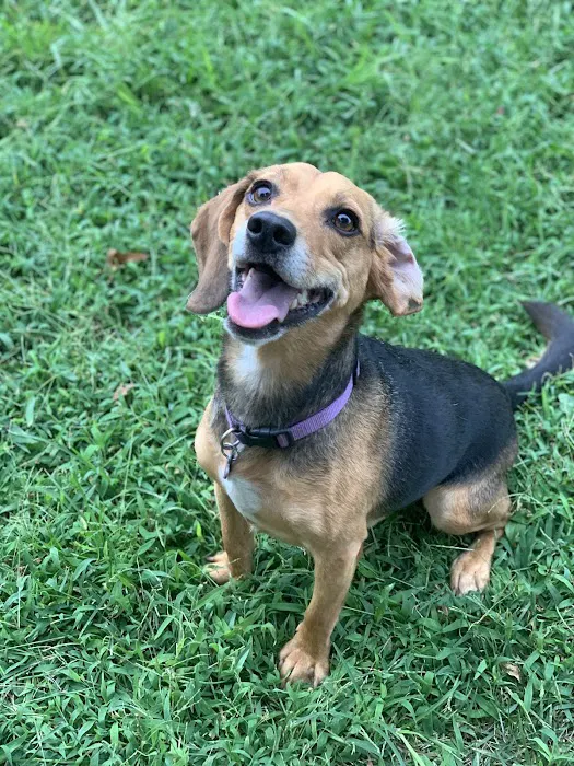 Family Pet Medical Clinic Picture 1