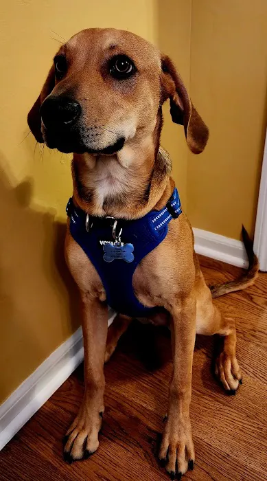 Family Pet Medical Clinic Picture 3