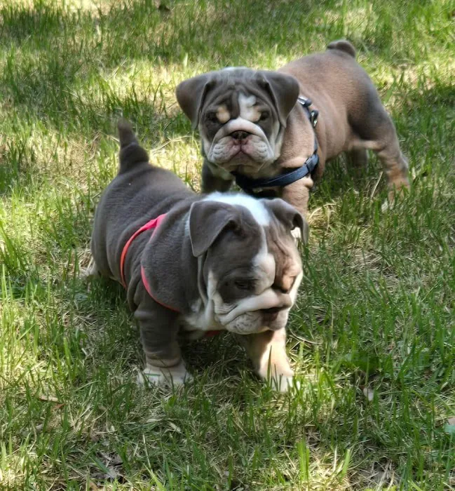 Family Pet Medical Clinic Picture 2