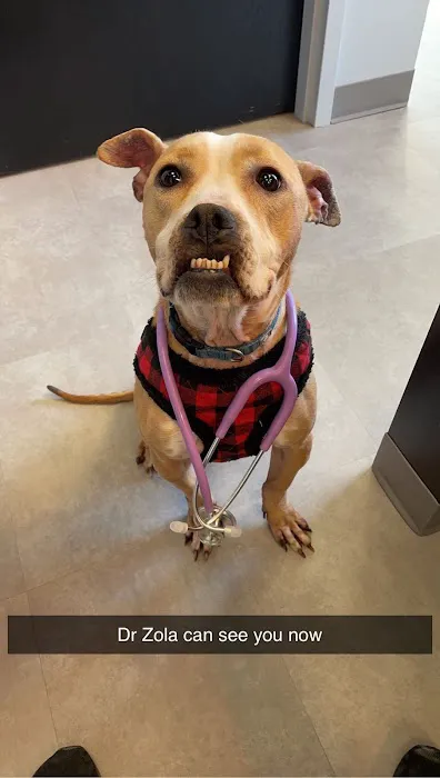 Family Pet Medical Clinic Picture 8