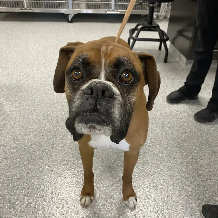 Family Pet Medical Clinic Picture 6