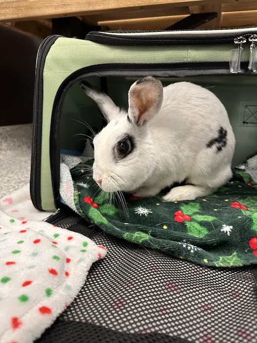 Family Pet Medical Clinic Picture 9