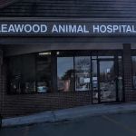 Leawood Animal Hospital
