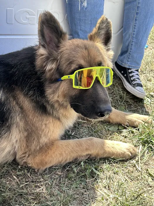 South Kansas City Mobile Veterinary Clinic Picture 5