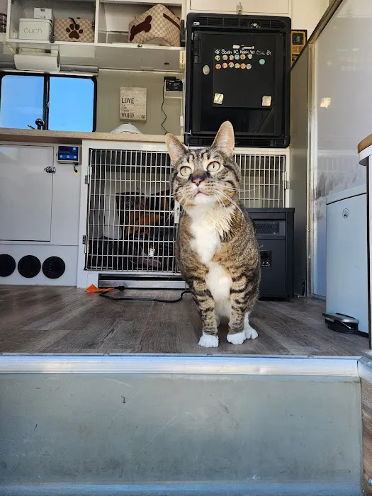 South Kansas City Mobile Veterinary Clinic Picture 6