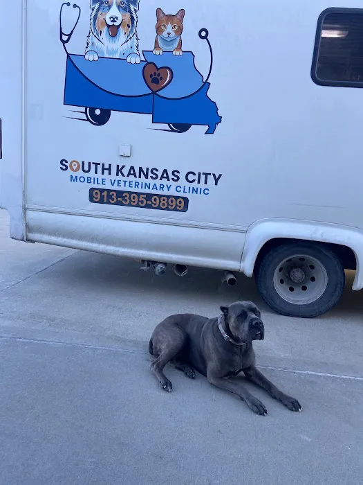 South Kansas City Mobile Veterinary Clinic Picture 9