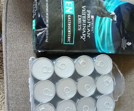 Pet Vet Animal Hospital