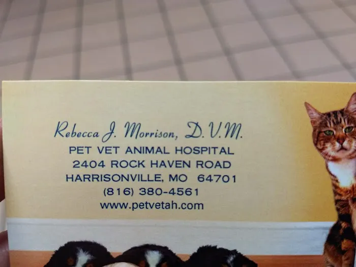 Pet Vet Animal Hospital Picture 8