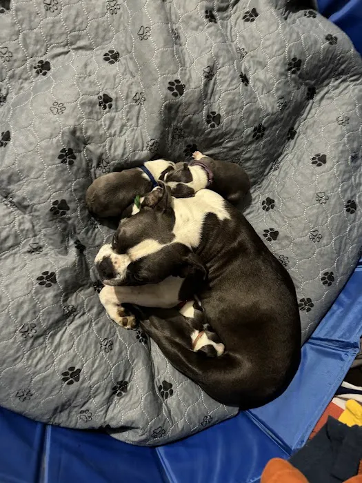 Freeman Animal Clinic Picture 1