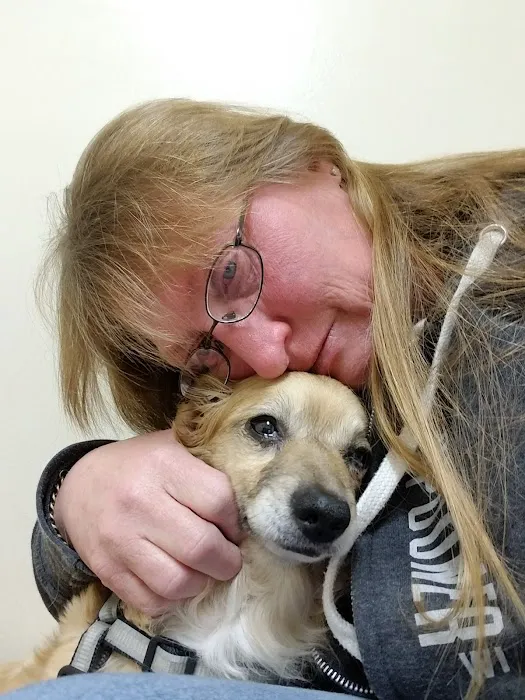 Harrisonville Animal Clinic Picture 2