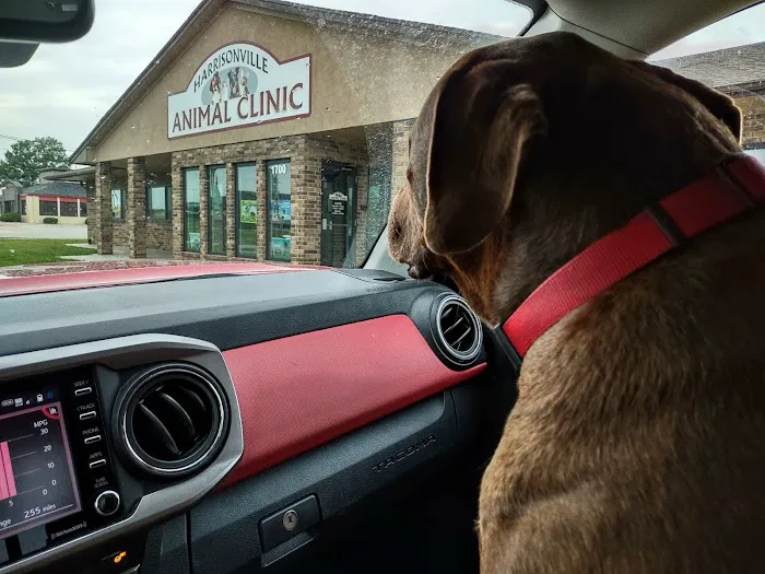 Harrisonville Animal Clinic Picture 5