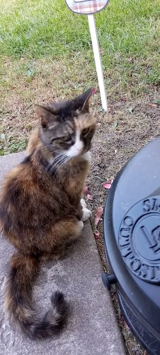 Harrisonville Animal Clinic Picture 4