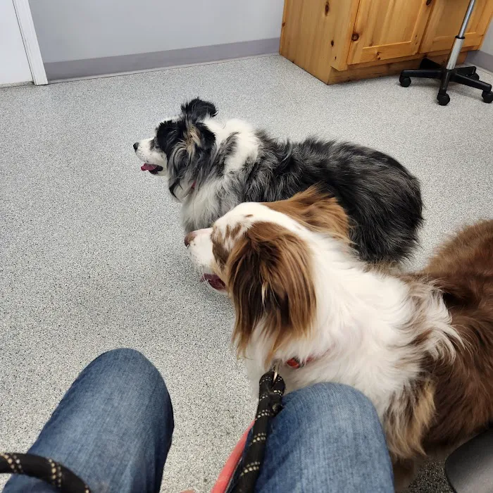 Harrisonville Animal Clinic Picture 9