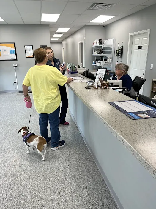 Harrisonville Animal Clinic Picture 8