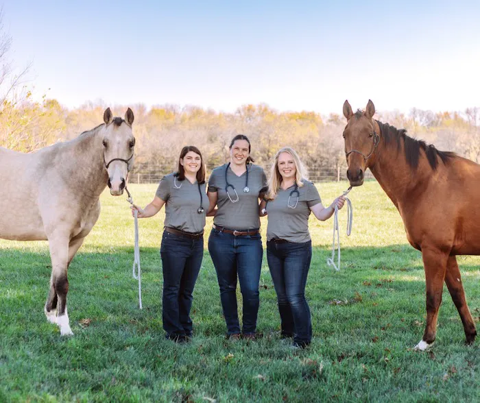 Sunflower Equine Veterinary Clinic Picture 4