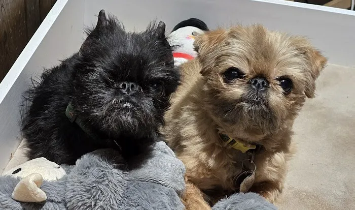 State Line Animal Hospital Picture 1