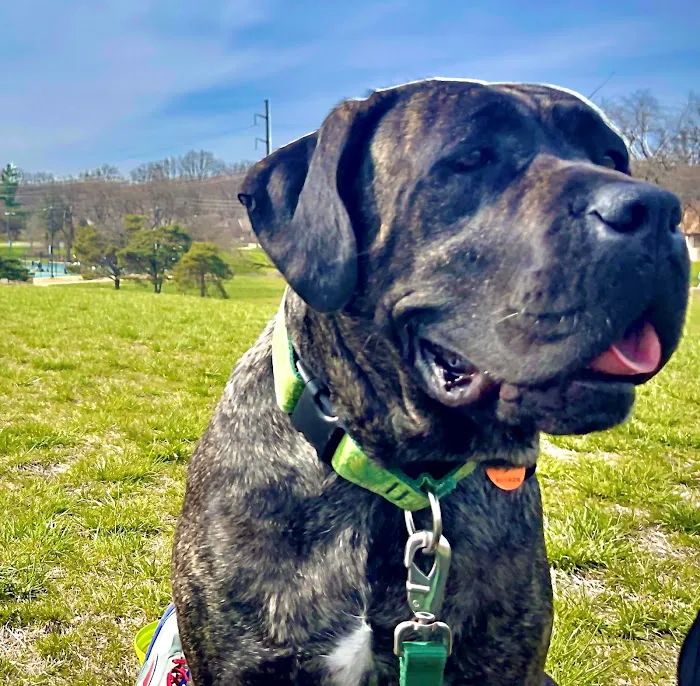 State Line Animal Hospital Picture 4