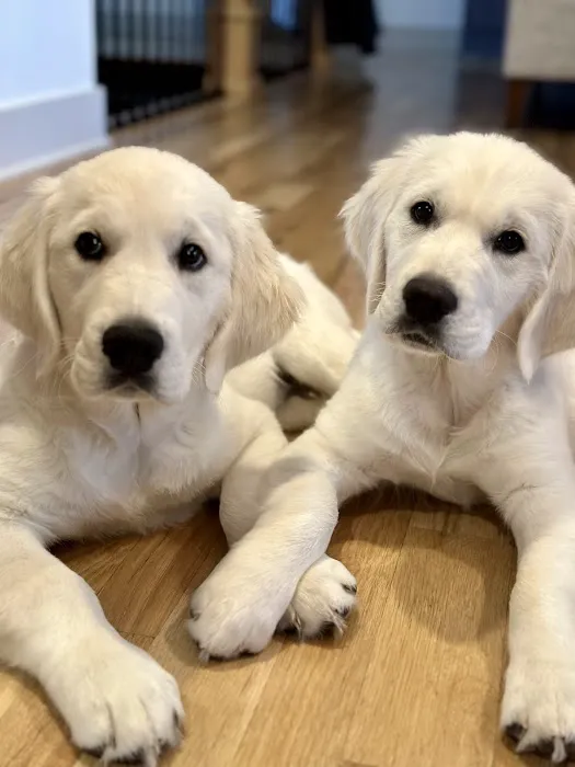 State Line Animal Hospital Picture 2