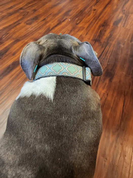 State Line Animal Hospital Picture 6