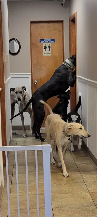 State Line Animal Hospital Picture 5