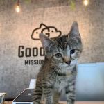 GoodVets Overland Park Leawood