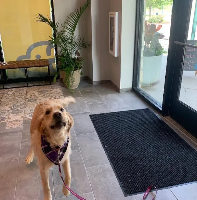 GoodVets Overland Park Leawood Picture 4