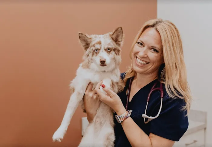 GoodVets Overland Park Leawood Picture 9