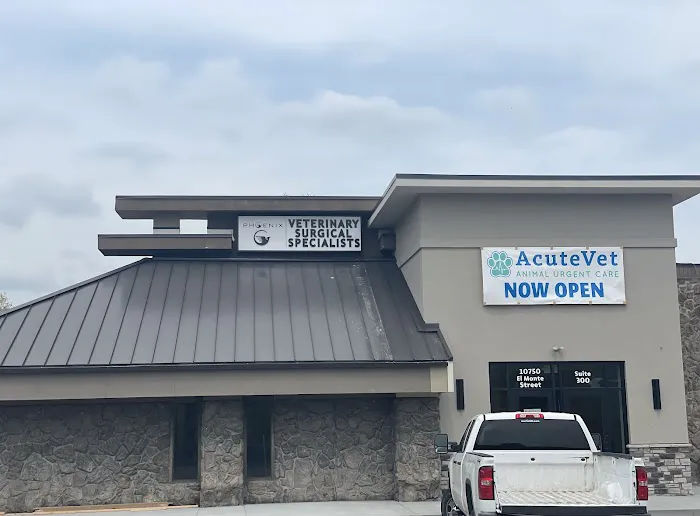 Phoenix Veterinary Surgical Specialists Picture 10