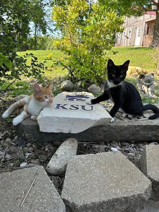 AcuteVet - Veterinary Urgent Care Clinic of Overland Park Picture 7