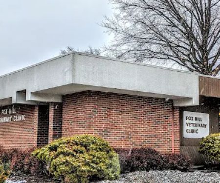 Fox Hill Veterinary Clinic
