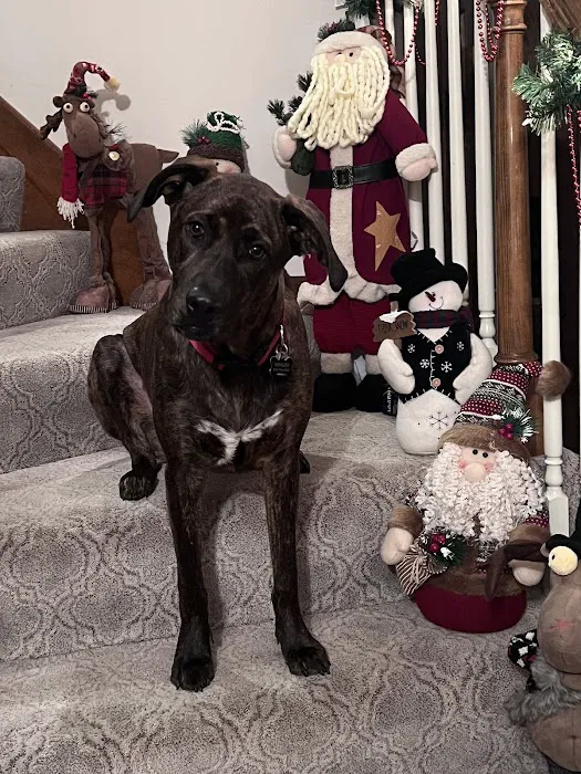 Fox Hill Veterinary Clinic Picture 6