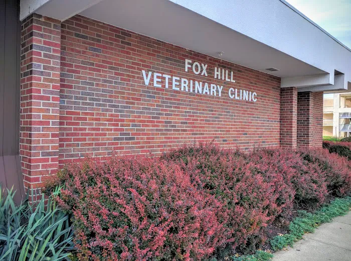 Fox Hill Veterinary Clinic Picture 7