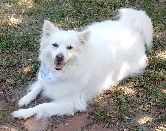 Fox Hill Veterinary Clinic Picture 8