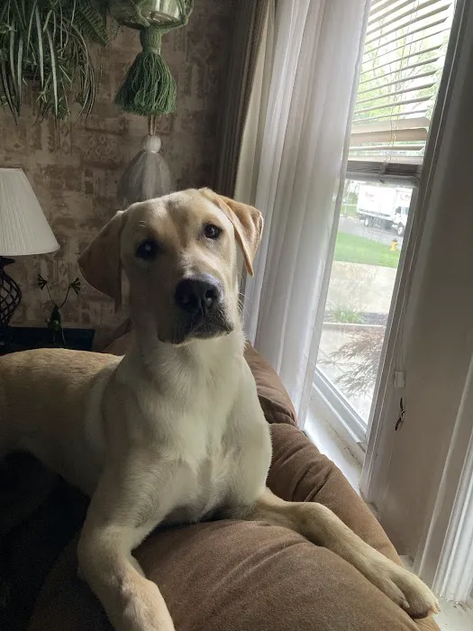 Camelot Court Animal Clinic Picture 10