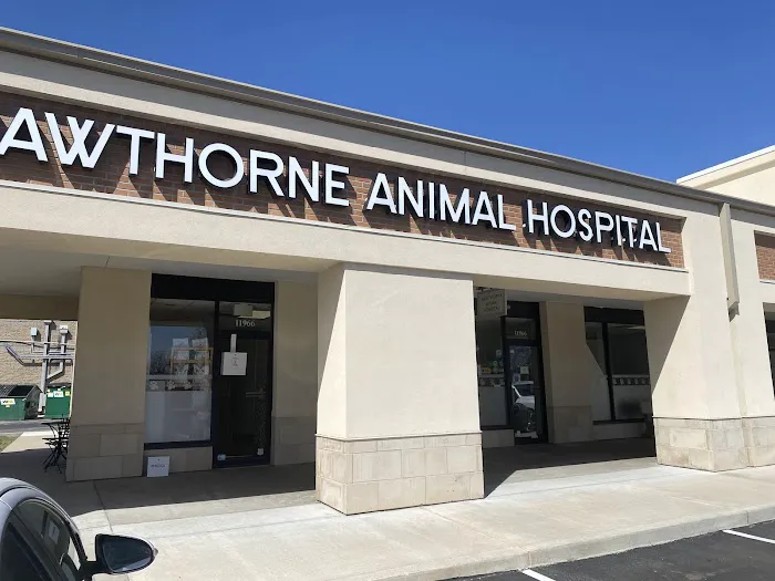 Hawthorne Animal Hospital Picture 2